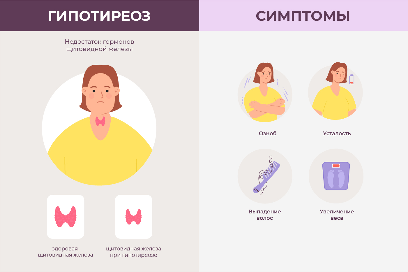 Гипотиреоз: причины, симптомы, диагностика и лечение | Многопрофильный  медицинский центр Воронеж